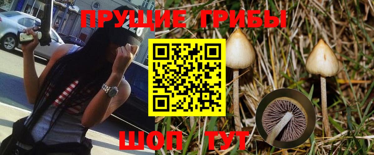 где можно купить наркотик  Галлюциногенные грибы мухоморы  Галлюциногенные грибы прущие грибы  Вход с VPN  Химки 